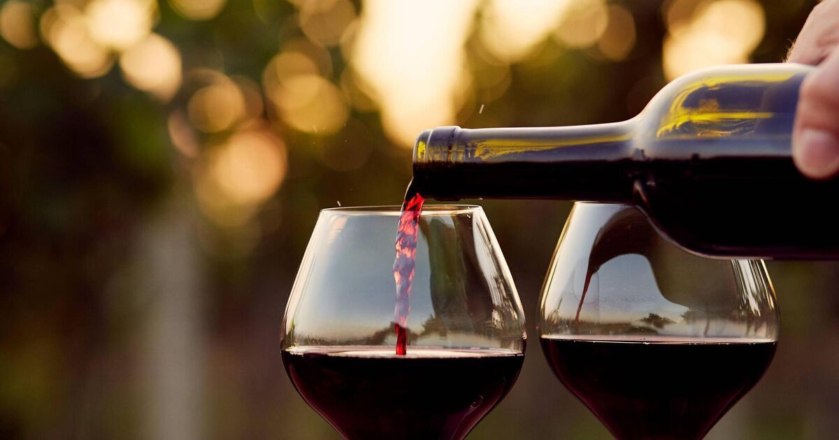 Wine with Leslie: The fertile crescent of the Middle East is the cradle of wine culture