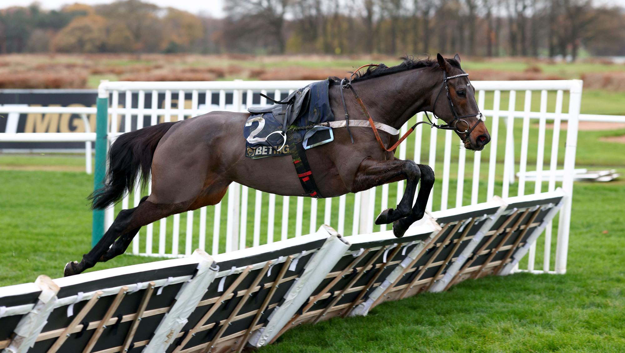 Ruby Walsh: Logic over blame game theory is a (Constitution) Hill I'll happily die on 
