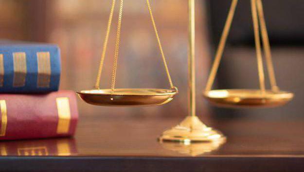 'Most people reading this are not contemplating ever taking on the State or a public authority in court, but you know it is important the authorities know they can be held to account before our independent judiciary.' 