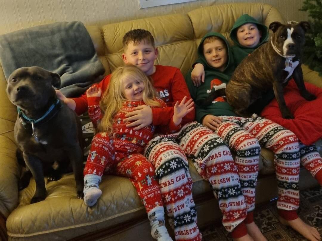 l-r Bear, Gracie (4), Danny (11), Tommy (10), Seánie (7) and Bonnie
