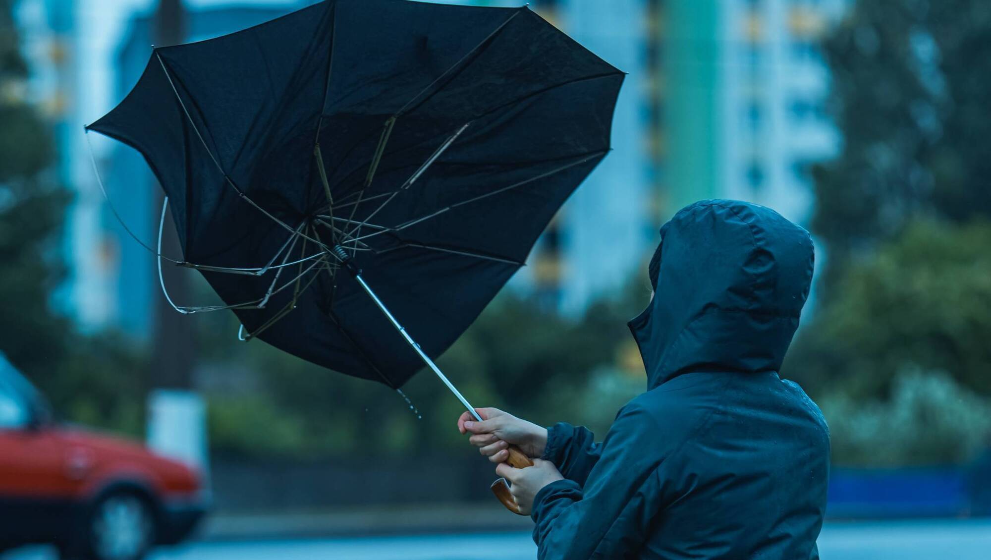 Wind warnings issued for 18 counties as Storm Bram set to hit Ireland