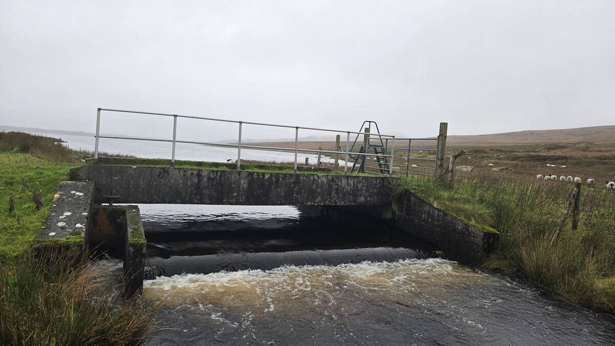 Easky Lough Weir, County Sligo — an obstacle to fish passage Easky Lough Weir, County Sligo — an obstacle to fish passage