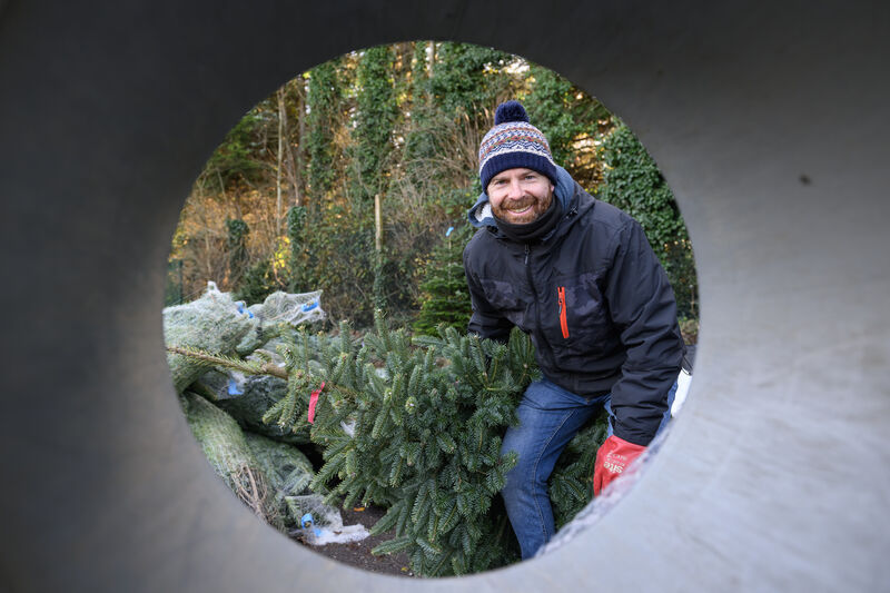 Colm Crowley who runs a Christmas business selling Christmas trees at Mahon Industrial Park Cork. - Picture Dan Linehan Colm Crowley who runs a Christmas business selling Christmas trees at Mahon Industrial Park Cork. - Picture Dan Linehan