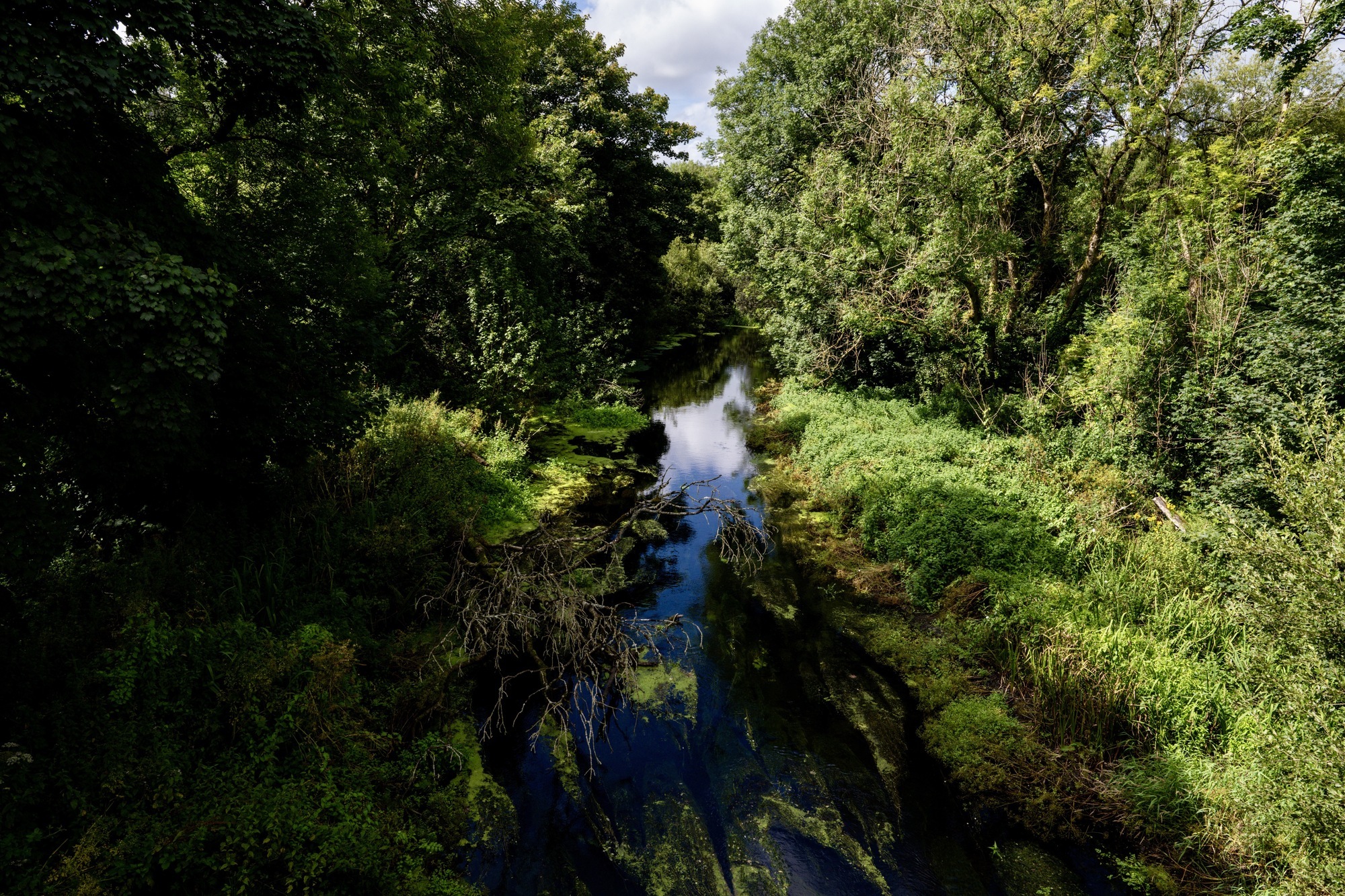 Failure to address sewage leak in West Cork village 'outrageous'