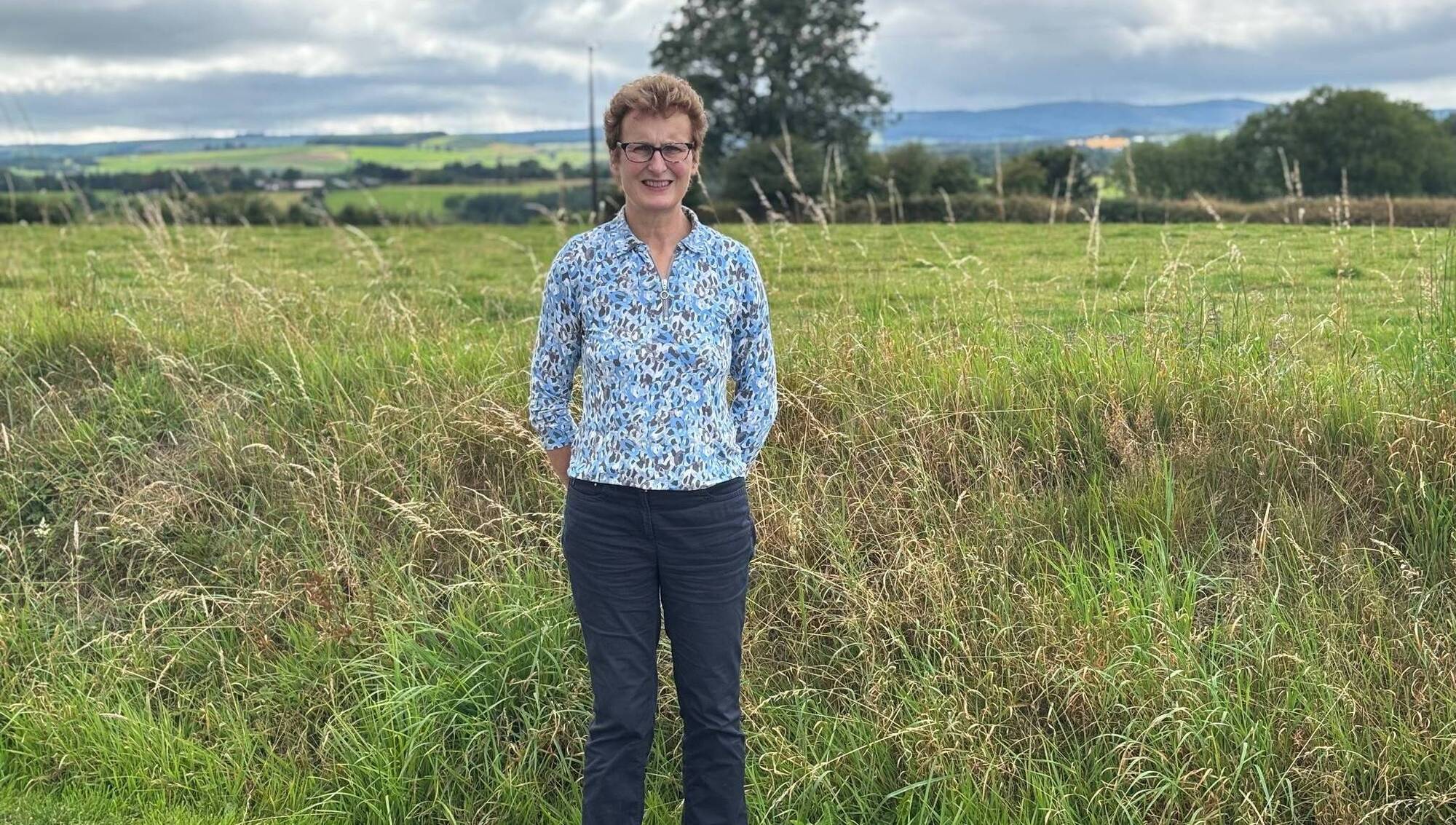 Signpost: The organic beef farm performing better than many conventional suckler herds