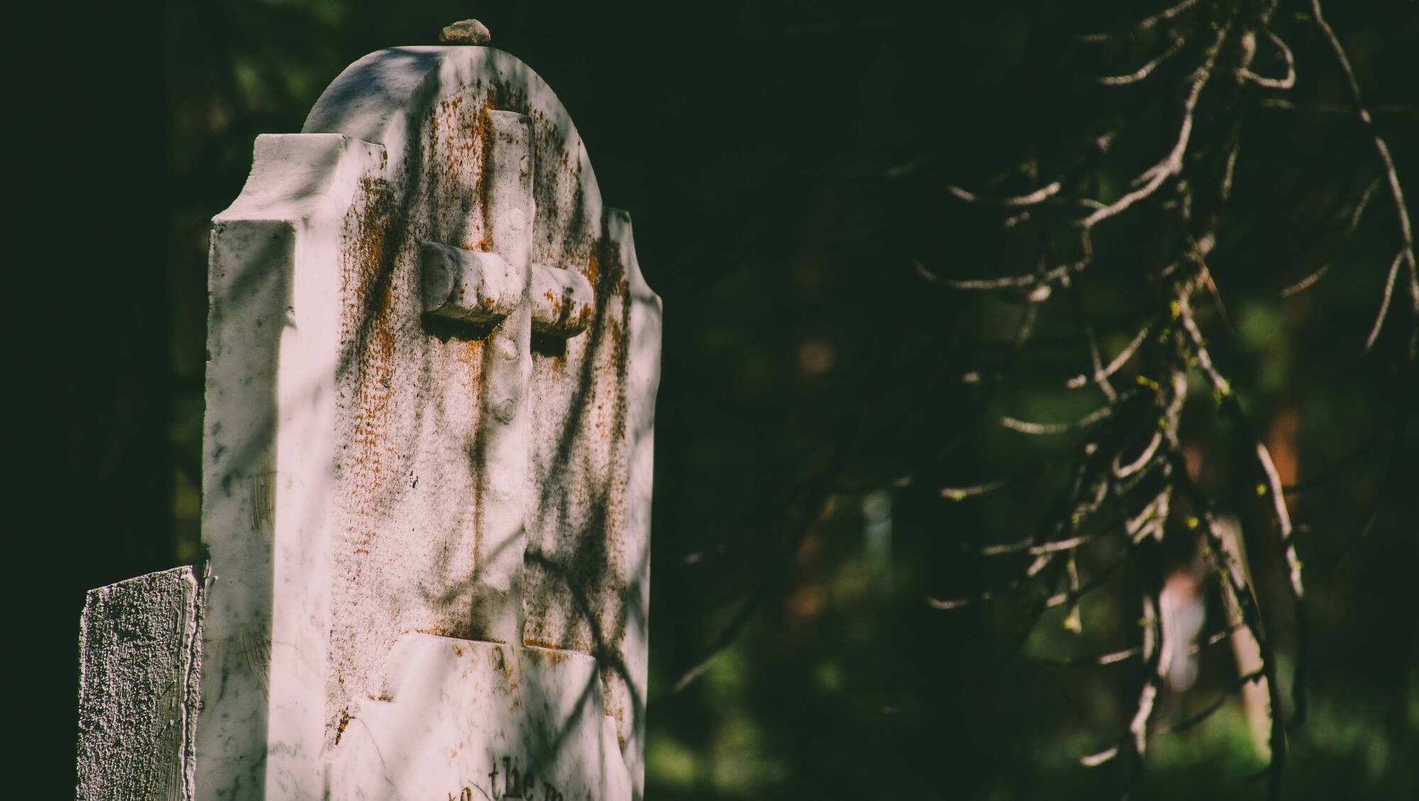 Families should be allowed kerbing on graves to aid maintenance, West Cork councillor says