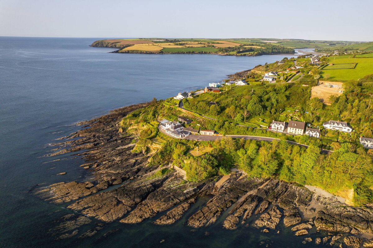 Bunnyconnellan Bunnyconnellan