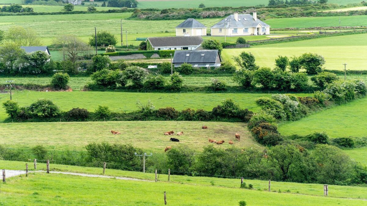 Between 2002 and 2007, some 7,600 one-off houses were built in the Kerry countryside. File photo