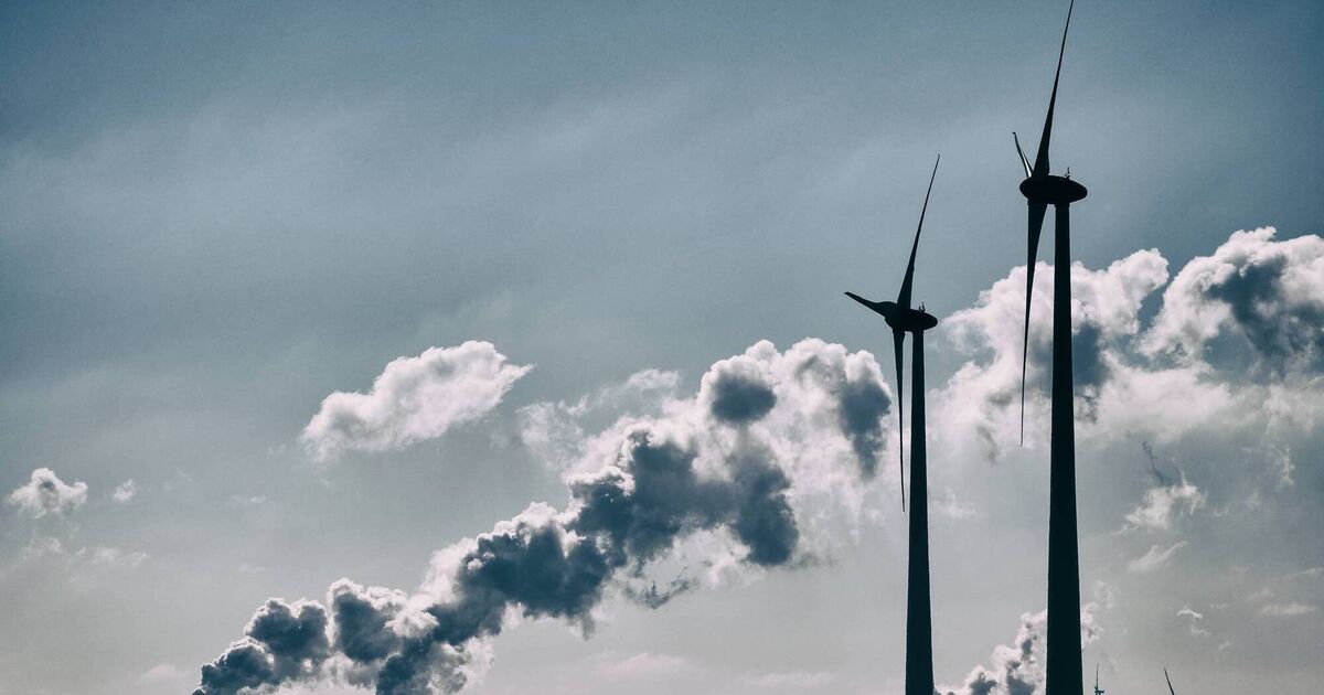 Data centres must get at least 80% of their energy from renewables, regulator says