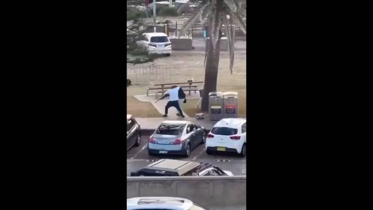 Watch: Bystander who tackled armed man at Bondi Beach shooting hailed as hero