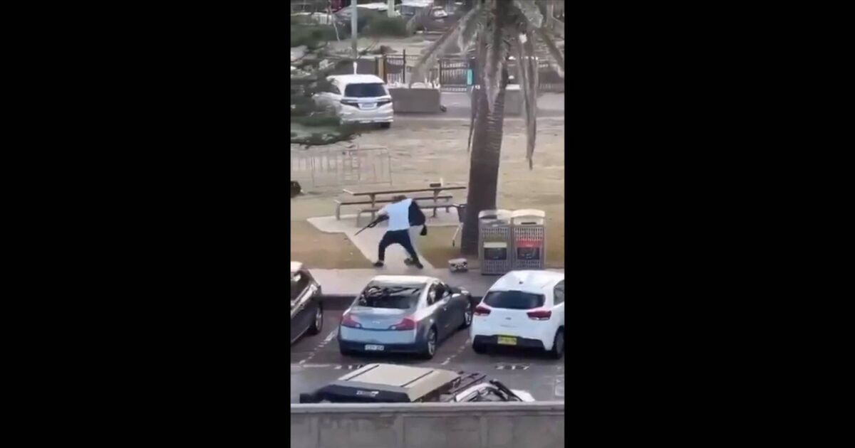 Parents of man who tackled Bondi Beach terrorist hail 'hero of Australia'