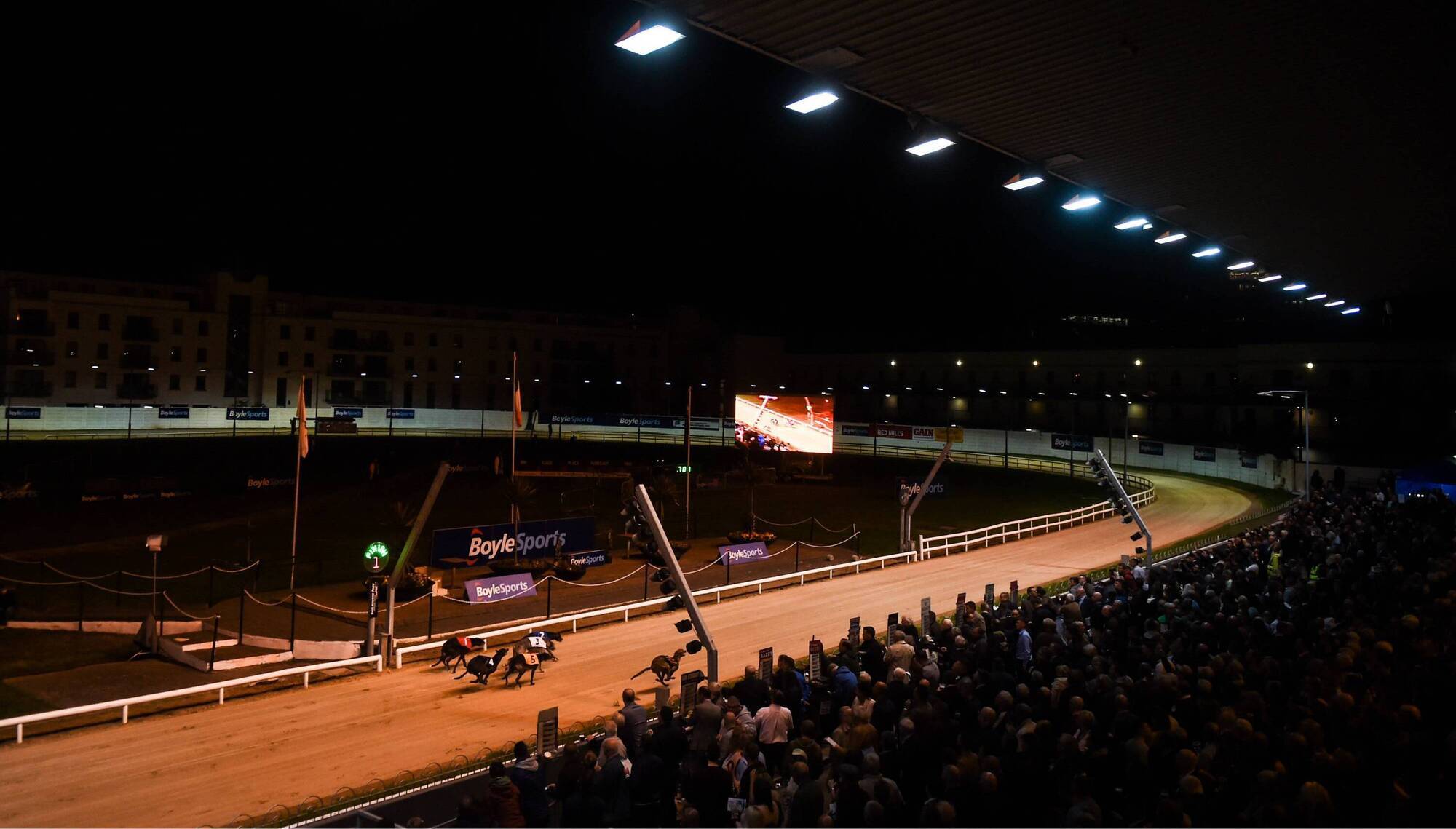 Ballydoyle Tina sets Christmas Oaks standard