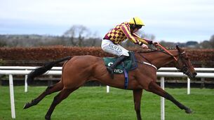 <p>SMART EFFORT: Oh My Word and Derek O'Connor win for trainer Tom Cleary. Picture: Healy Racing</p>
