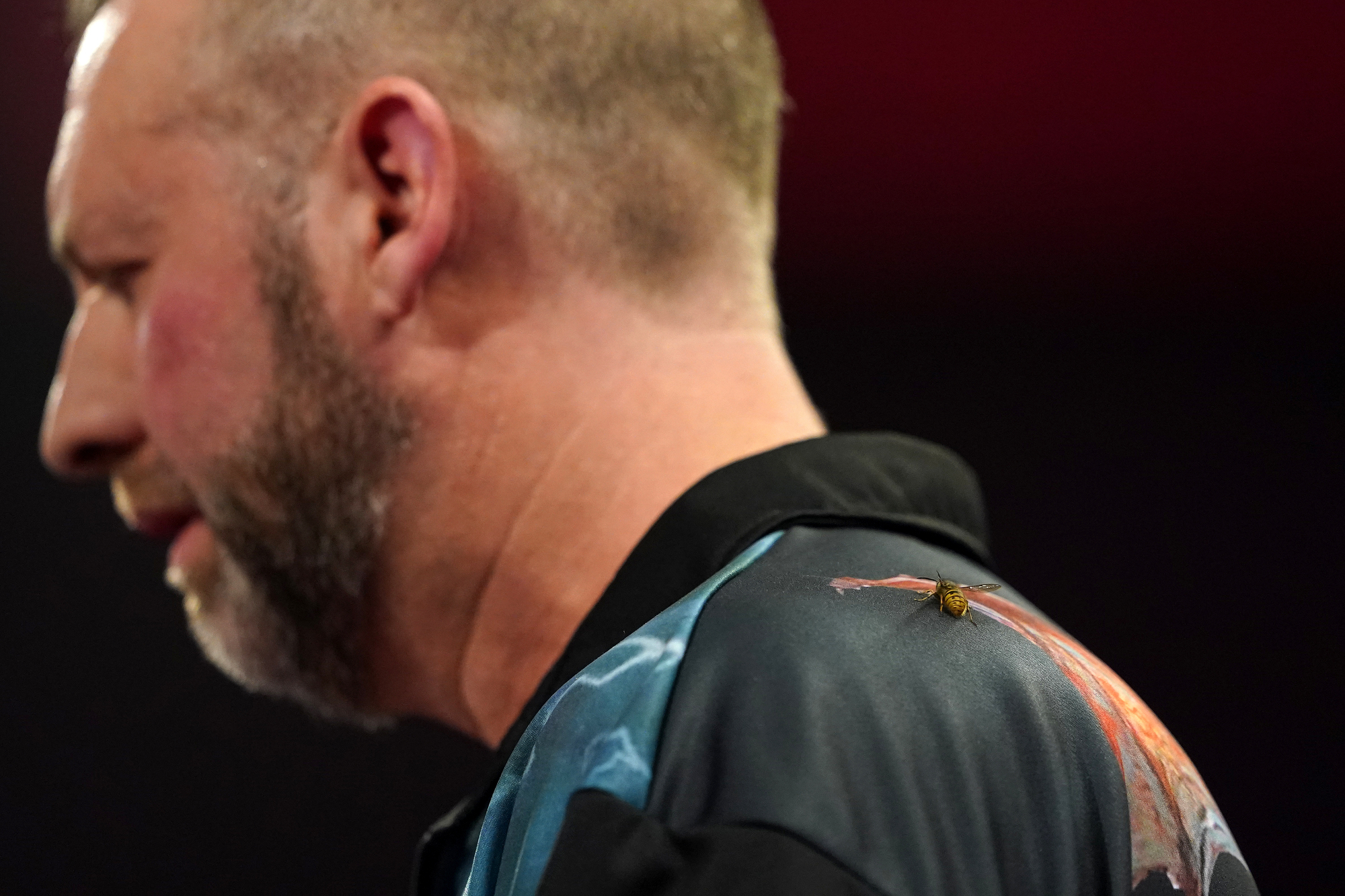 The Ally Pally Wasp makes its mark on another PDC World Championship