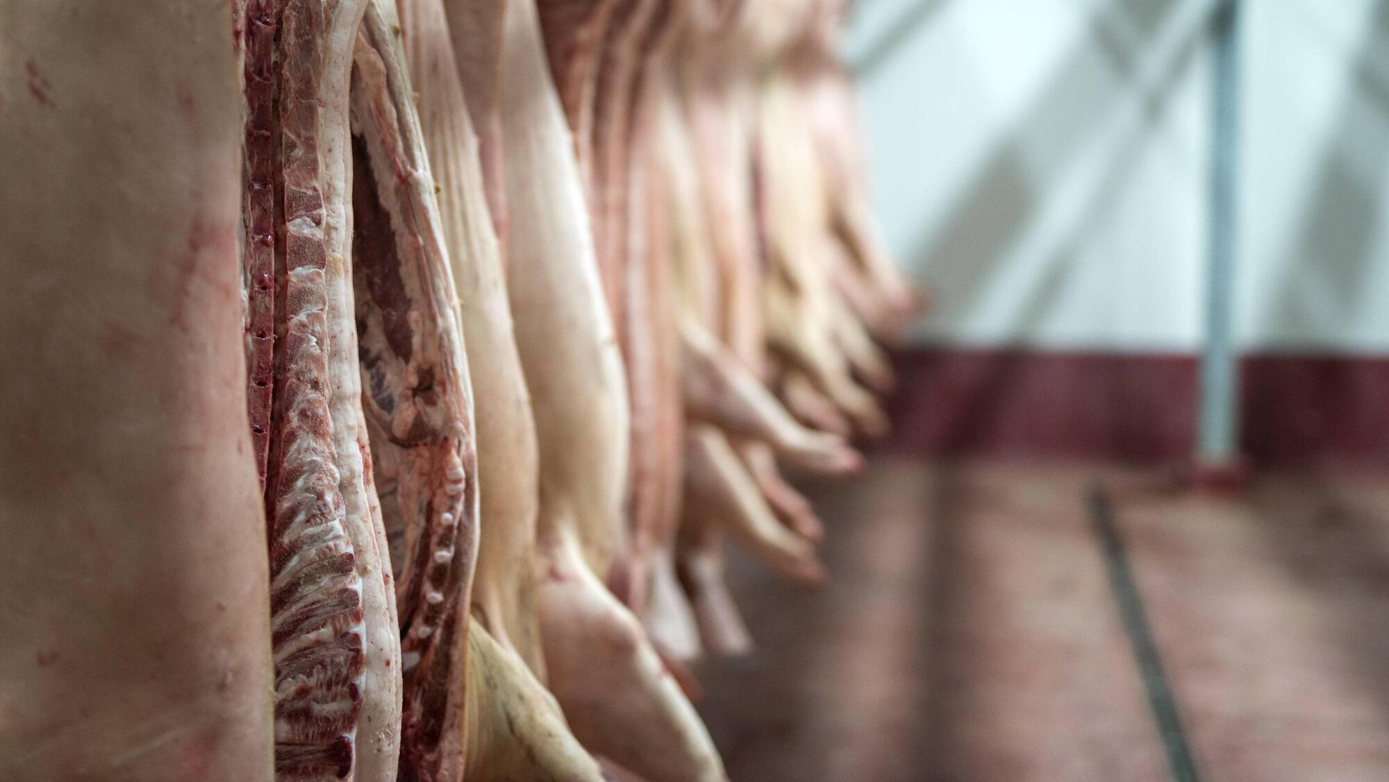 Irish producers face levies as China announces tariffs on EU pork 