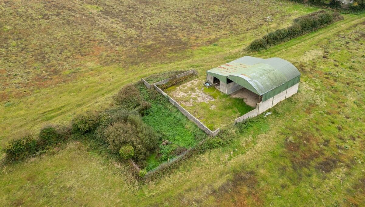 55a holding near Cork City guiding €25k/acre