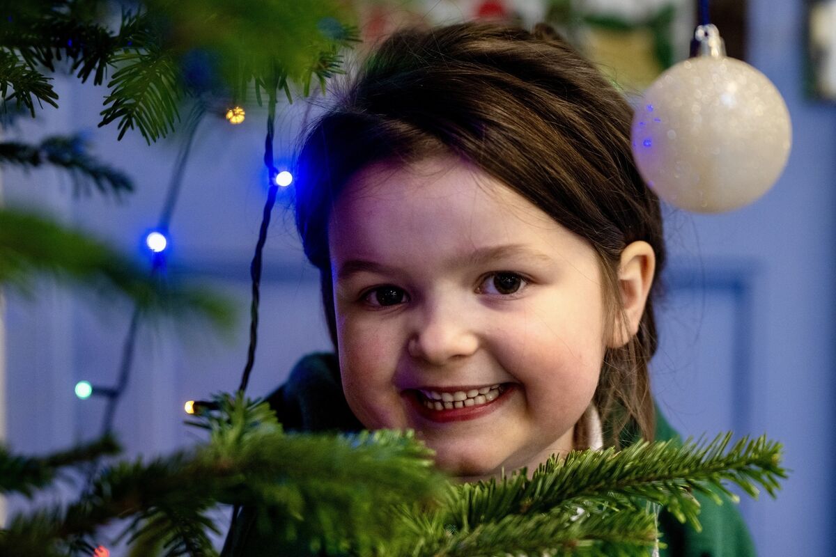 Grace Parsons peeks through the decorated Christmas tree in the junior infants classroom at Scoil Bhríde Eglantine. Picture: Chani Anderson
