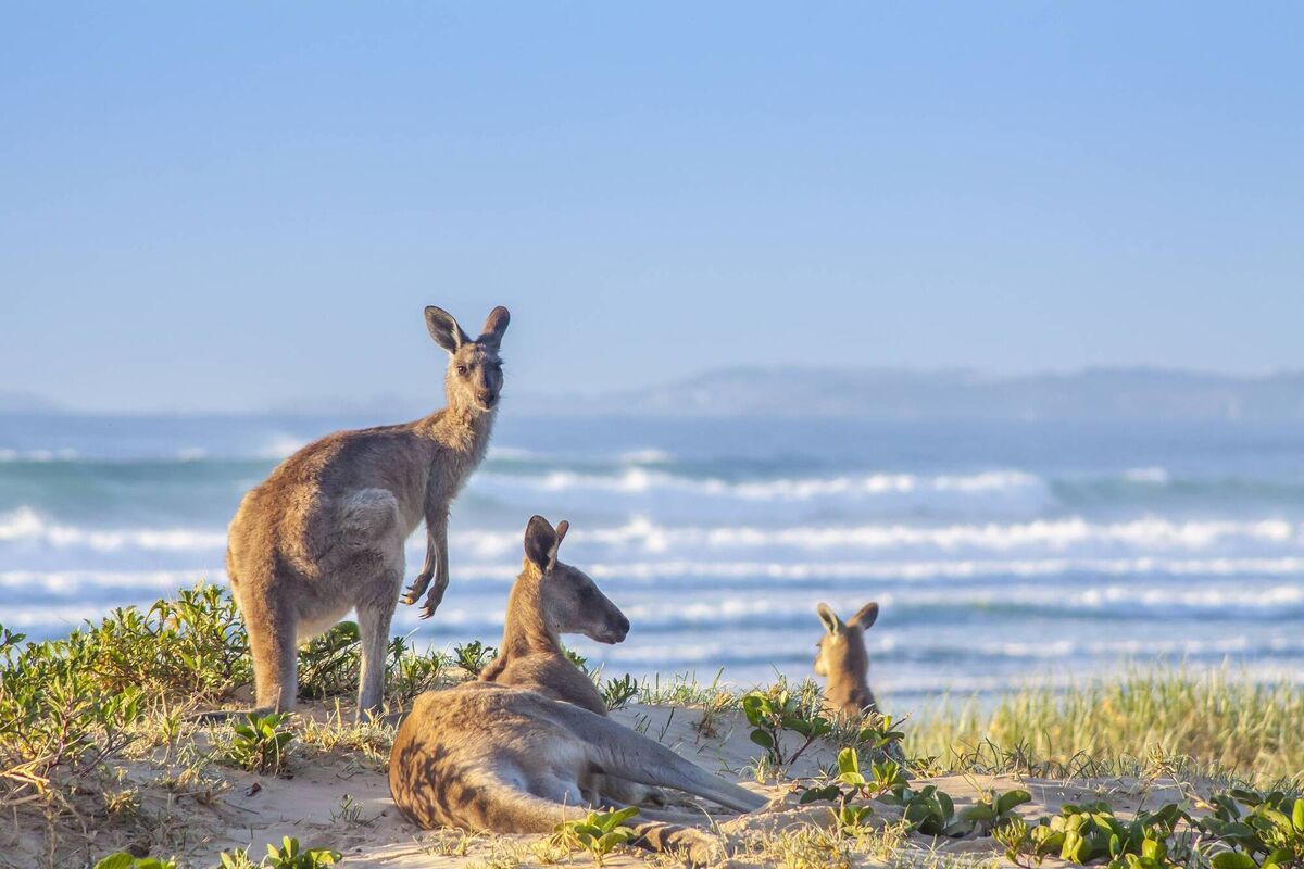 Australia — Stephan O'Leary's bucket list holiday