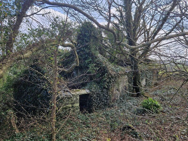 The remains of the Harrington home in Cahermore, Rosscarbery, where Owen Harrington's letters from the Civil War were read out to his mother Mary The remains of the Harrington home in Cahermore, Rosscarbery, where Owen Harrington's letters from the Civil War were read out to his mother Mary