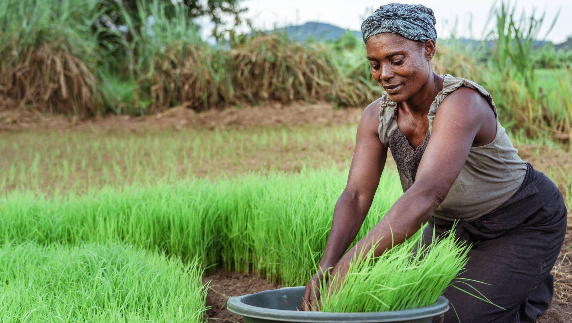 Irish funding has made space for women in Malawi 