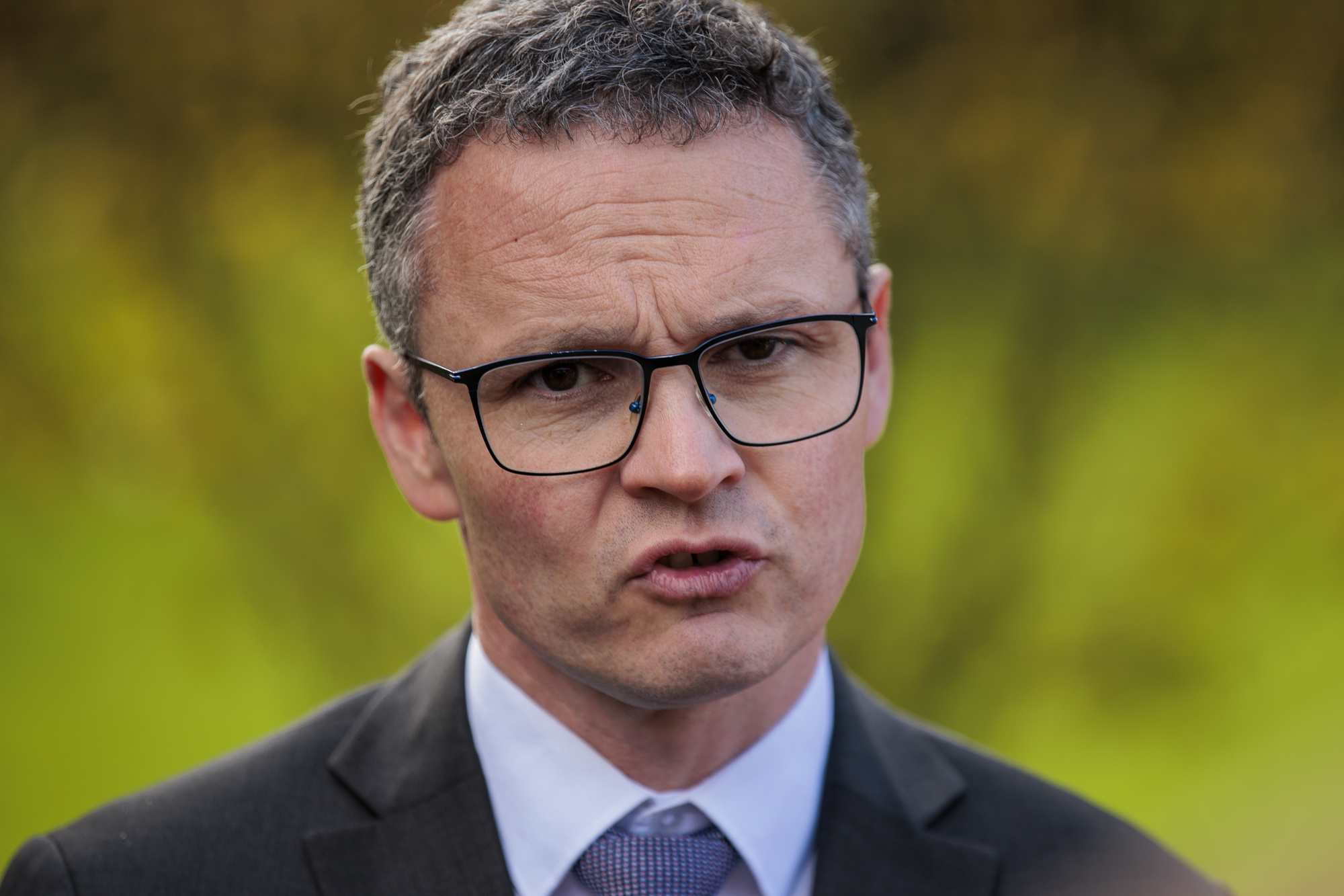 Suspension of Limerick committee to be lifted after probe roadblock