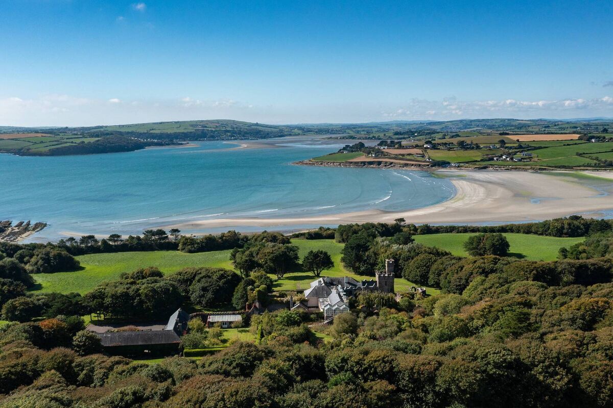 Coolmain Castle: interest in the Disney family's Cork castle is, eh, 'animated'