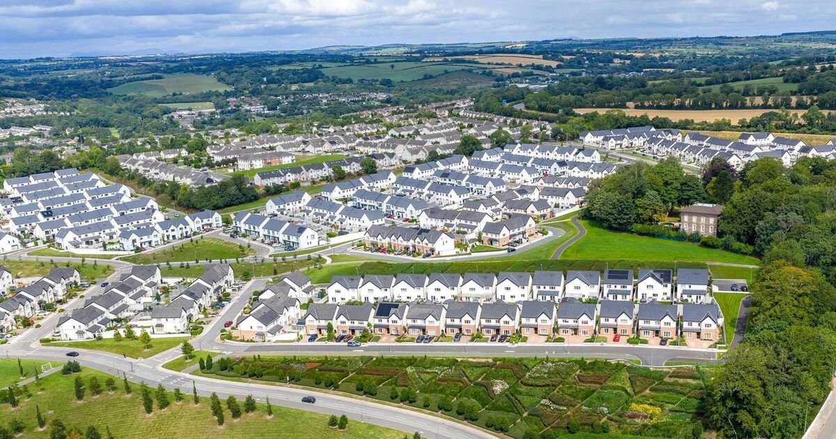 To solve the housing crisis, let builders get on with the job, says developer Michael O'Flynn