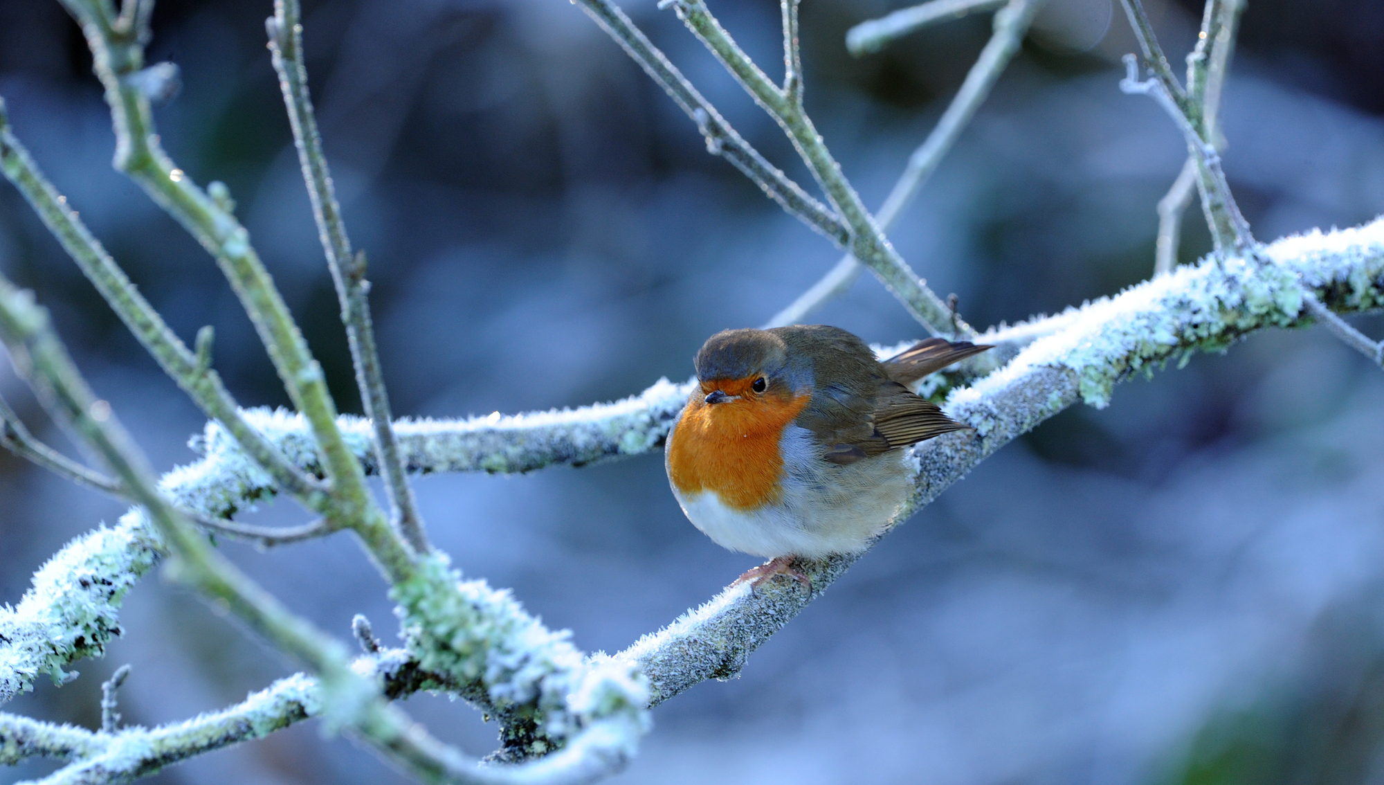 Dry and bright: Here's what the weather will be like over the Christmas period