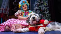 Panto dame Fionula Linehan: When I was younger I’d gone to theatre, watched it, loved it