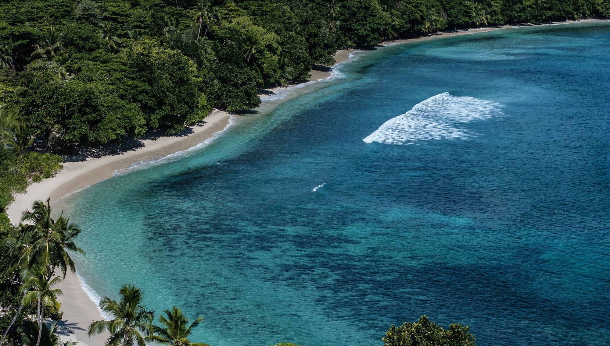Rainforest sweeps down to the Indian Ocean on Mahe
