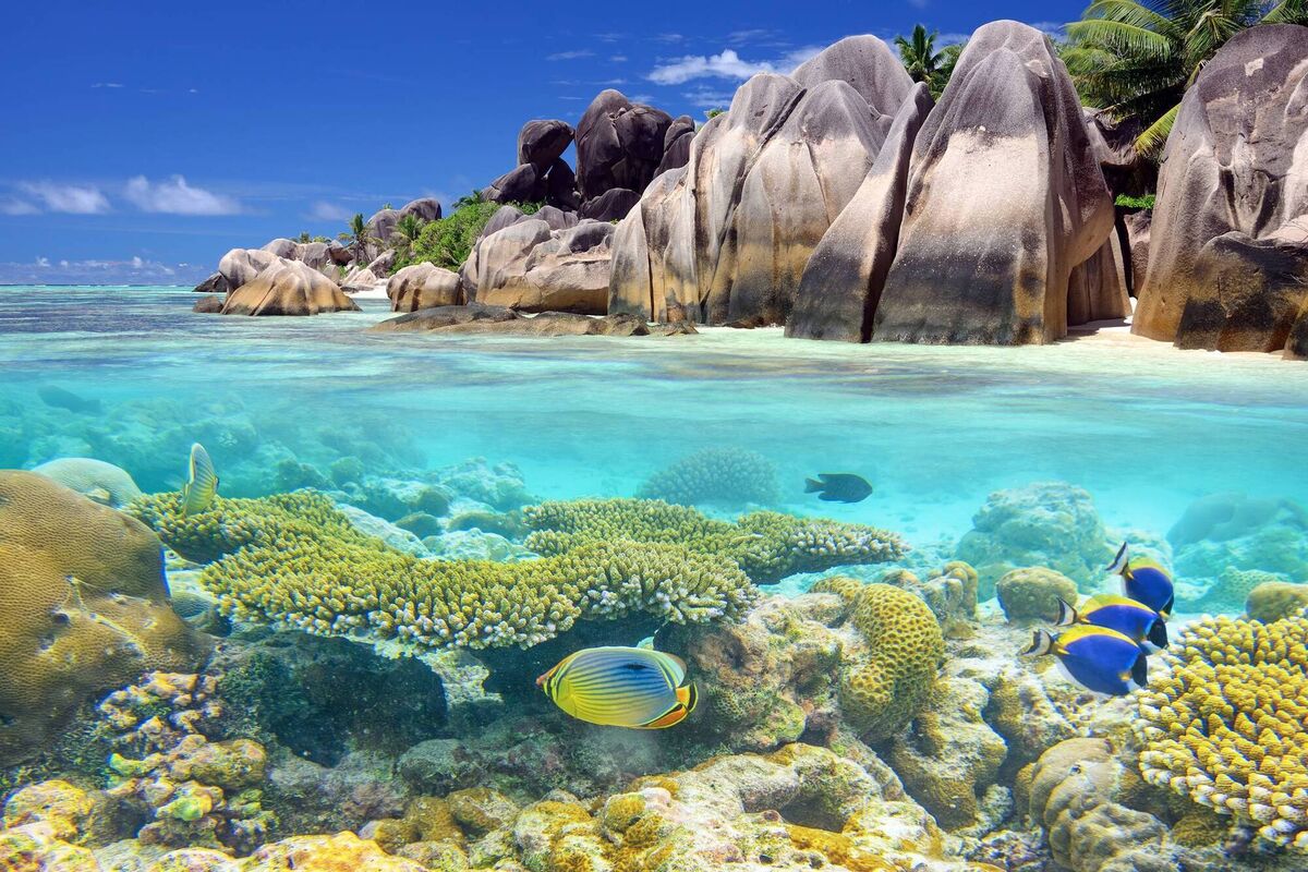 Snorkeling by the island's famous granite Snorkeling by the island's famous graniteÂ