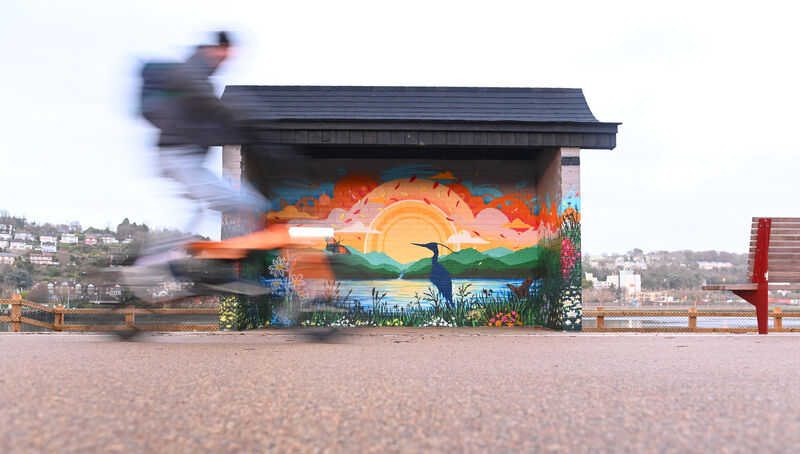 A cyclist passes the new colourful artwork by Street artist Raffaele Muraca (Silly Me Arts) on The Hut at Marina Promenade beside the River Lee. Picture: Larry Cummins A cyclist passes the new colourful artwork by Street artist Raffaele Muraca (Silly Me Arts) on The Hut at Marina Promenade beside the River Lee. Picture: Larry Cummins