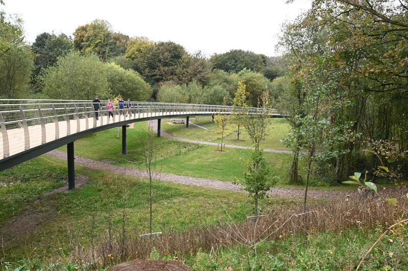 Elevated walkway in Marina Park. Picture: Larry Cummins