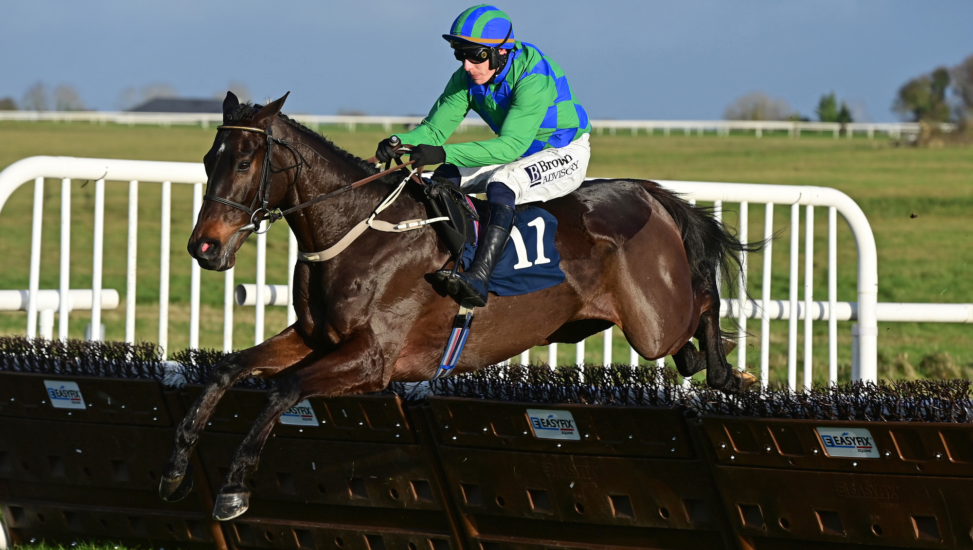 Le Divin Enfant can rise to Grade One challenge at Leopardstown