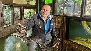 <p>James Hennessy with a boa constrictor Picture: PA/Bairbre Holmes</p>