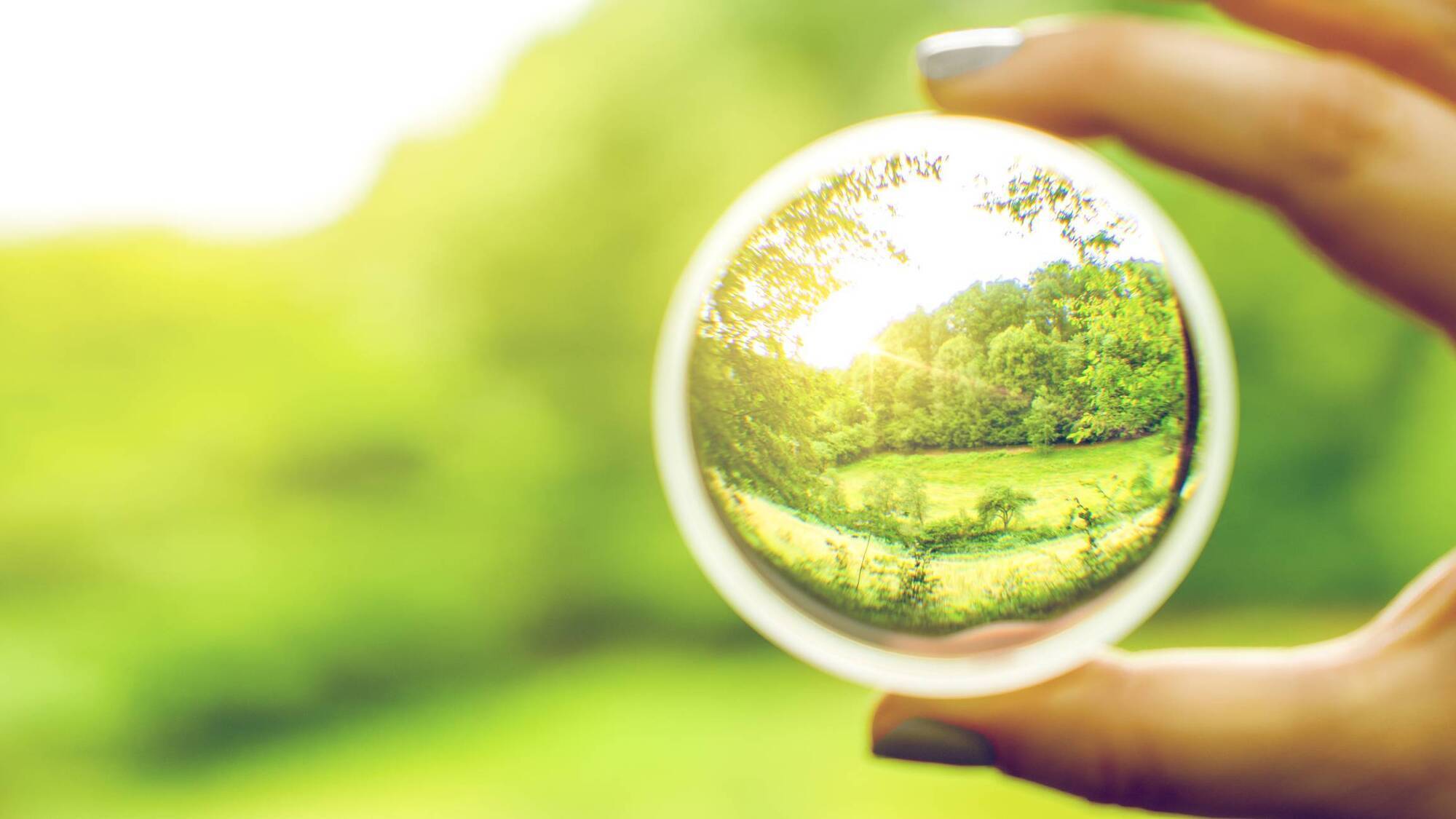 Ireland’s 2025 environmental review — and a look ahead to 2026