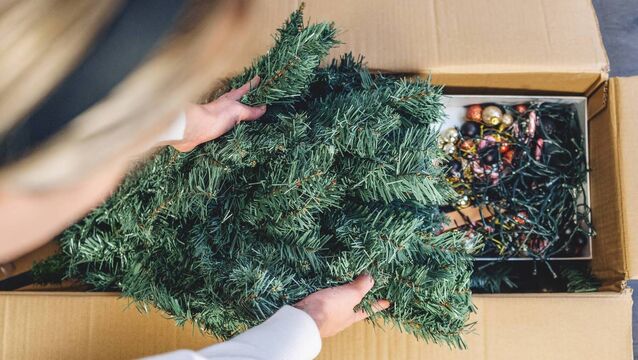 <p>Invest in a 'tree bag' to protect your artificial Christmas tree if the original box has become too battered to be of use</p>