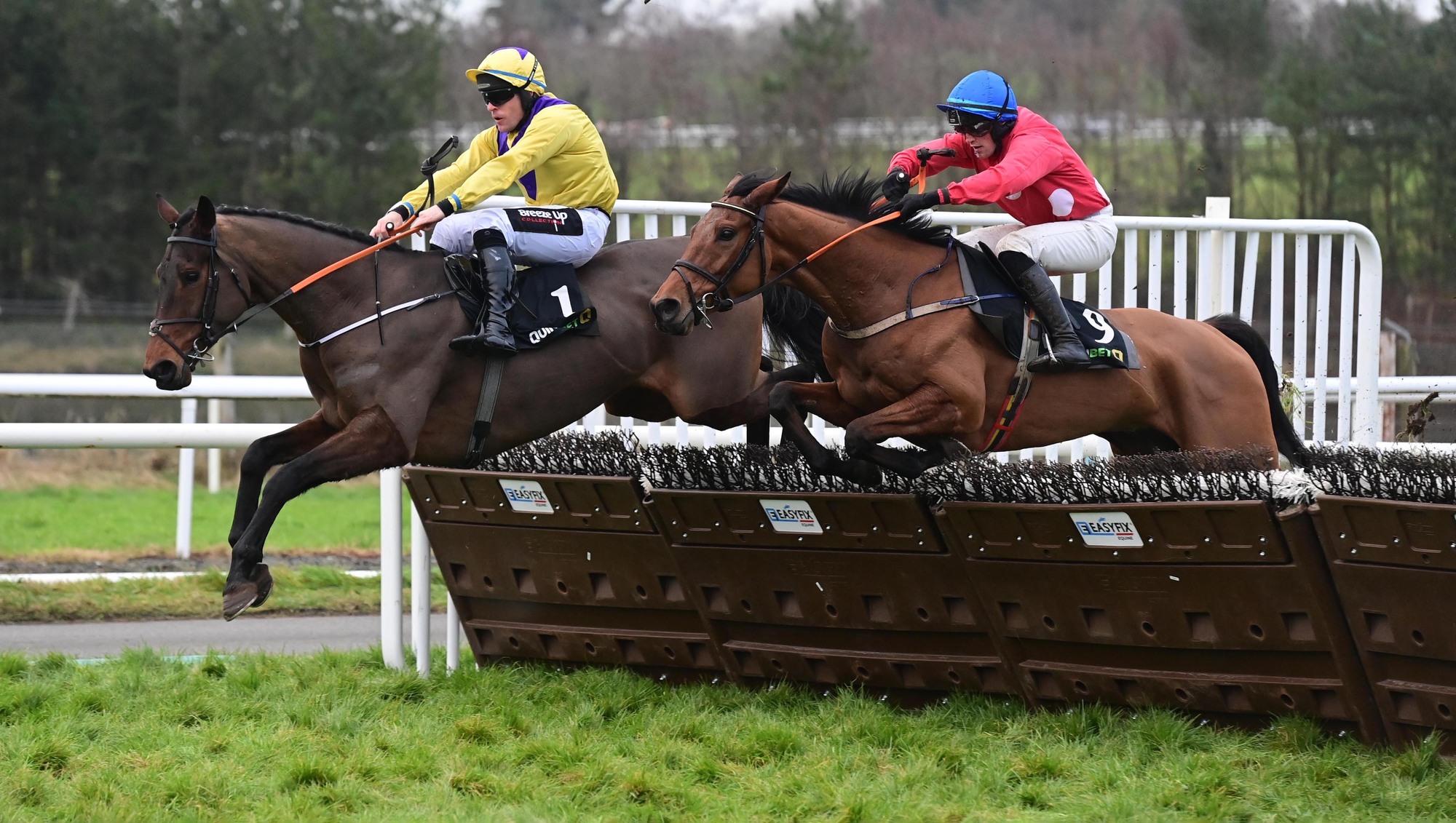 Its Bilbo defies top weight in Limerick for Henry de Bromhead