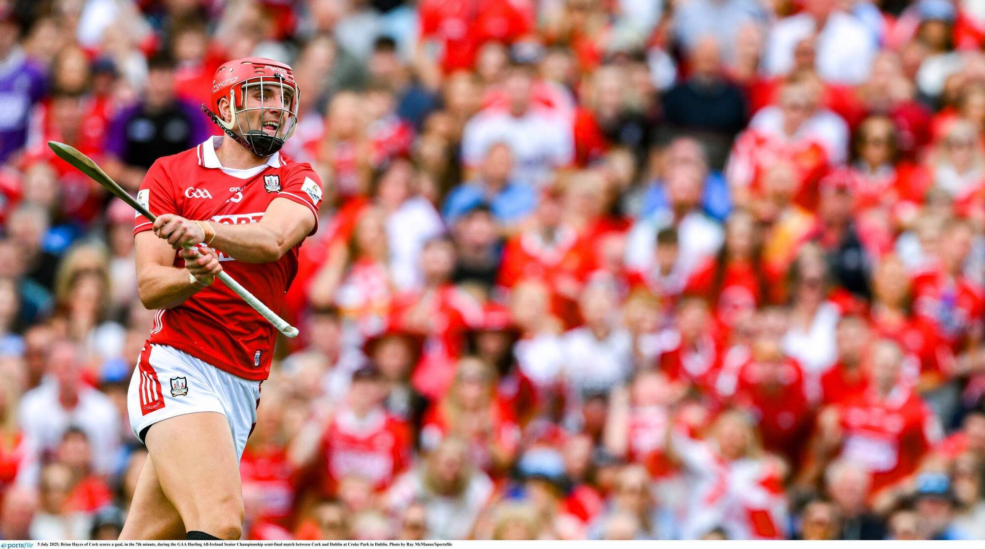 Kieran Shannon: Cork, Leinster, and Ireland must answer 2026's big questions