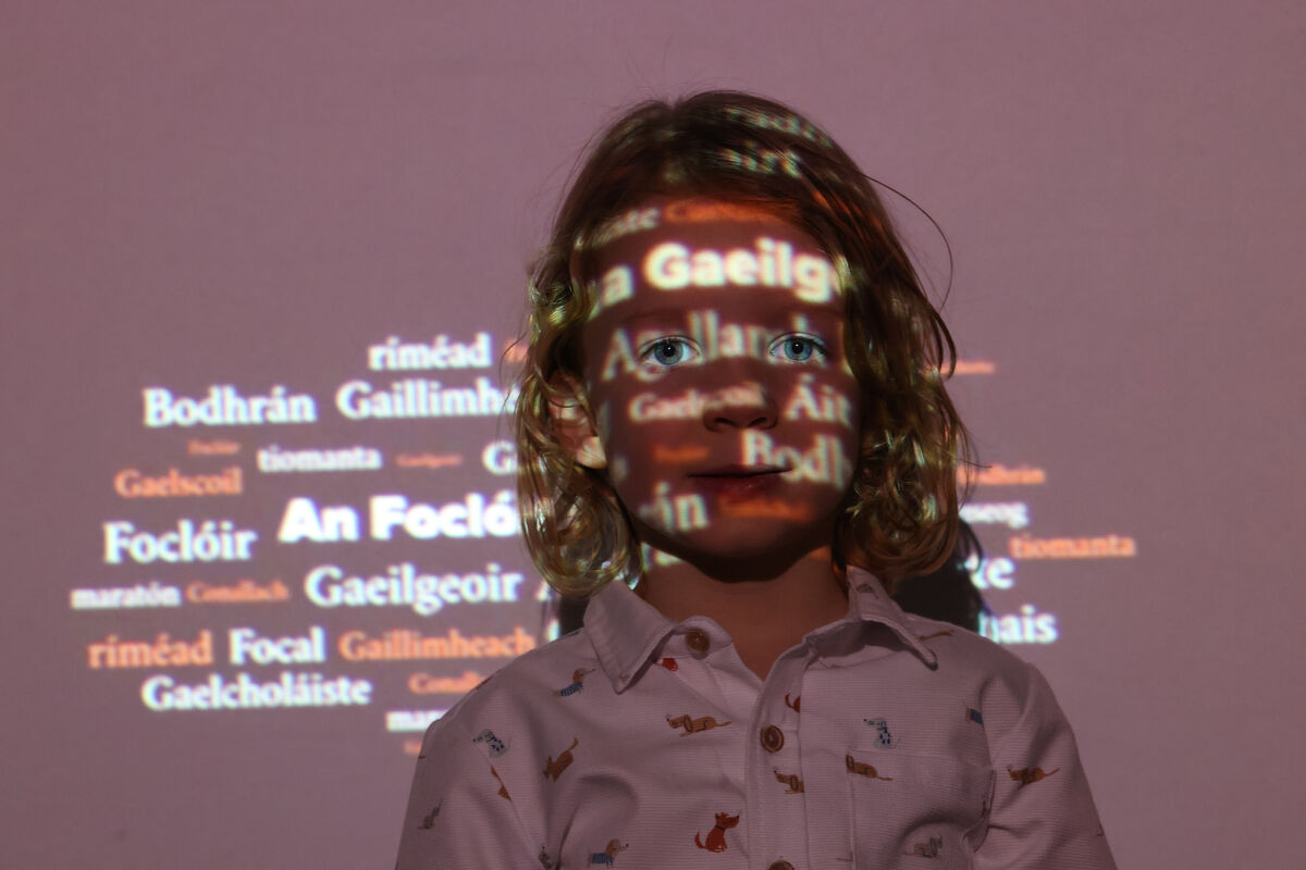 Iolann Ó Duinn Ó Bric, 4, at the launch of Foras na Gaeilge's new monolingual dictionary ‘An Foclóir Nua Gaeilge’. See Focloir.ie. 	Picture: Leon Farrell/Photocall
                    