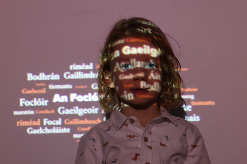 Iolann Ó Duinn Ó Bric, 4, at the launch of Foras na Gaeilge's new monolingual dictionary ‘An Foclóir Nua Gaeilge’. See Focloir.ie. 	Picture: Leon Farrell/Photocall
                    