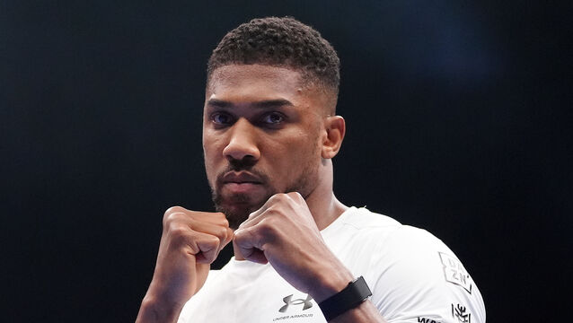 <p>Anthony Joshua has won 29 of his 33 professional contests (Bradley Collyer/PA)</p>