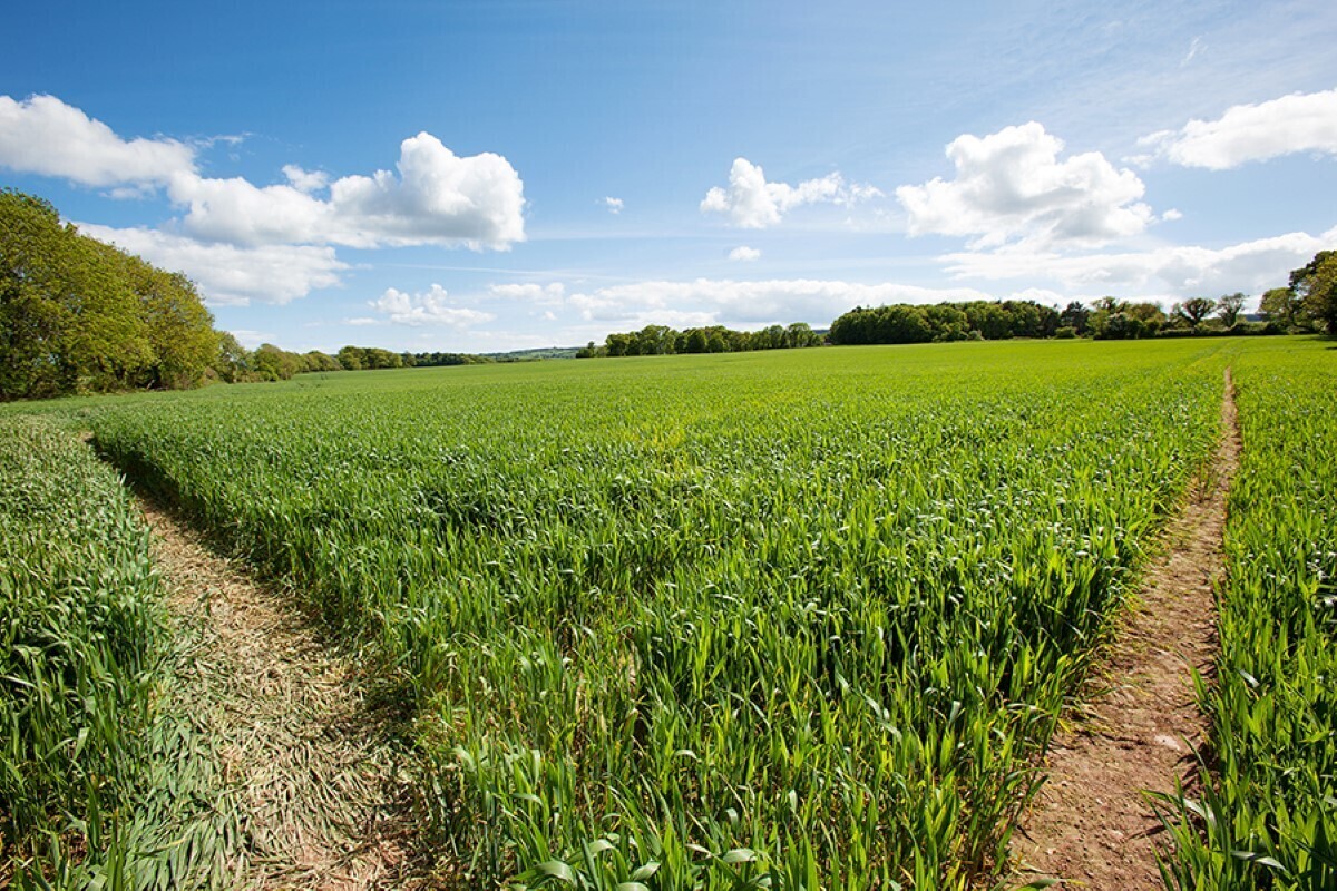203-acre farm near Dungarvan already the talk of 2026 with €4m price tag