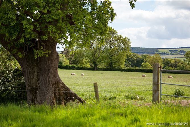 photo of the 203-acre farm at Carriglea, Dungarvan, Co. Waterford.