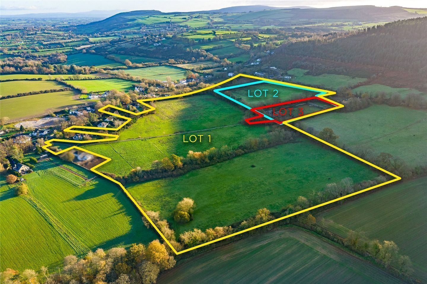 37a holding adjacent to Mallow packs potential