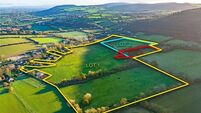 15-acre chunk of Kerry 'Gold' expecting €20k-€25k/acre