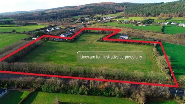 <p>Marked aerial view of the 9.5-acre holding for sale at Mountain Road, Cahir, Co. Tipperary.</p>