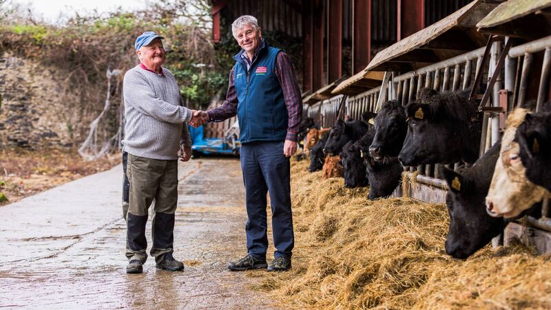Dairygold announce Munster finalists for malting barley programme