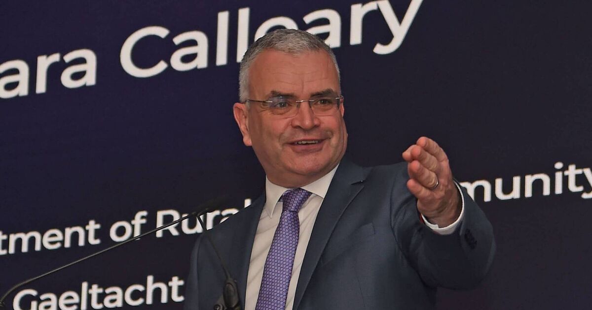 Cost-of-disability payment a priority for 2026, says social protection minister