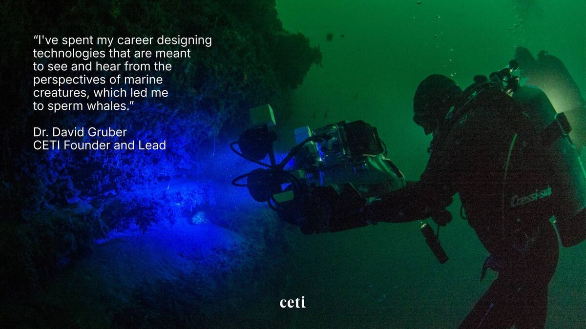 National Geographic Explorer and Project CETI founder and president, Dr David Gruber with the 'shark-eye' camera,that allows scientists to 'see' from the perspective of biofluorescent sharks. Picture: Kyle McBurnie / Project CETI